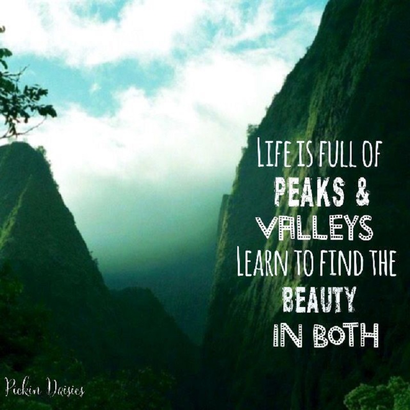 The Making of a Nobody - Part 6  PEAKS, VALLEYS and MONSTERS, Oh MY! Canyons with a Quote Life is full of peaks and valleys learn to find the beauty in both